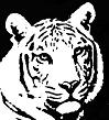 Avatar de eltigre